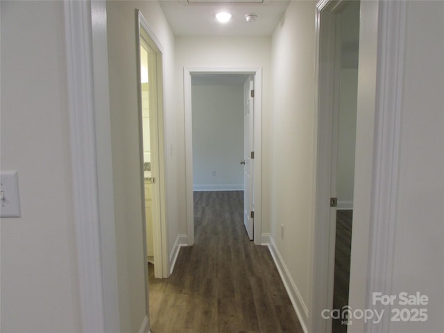 corridor featuring dark wood-type flooring