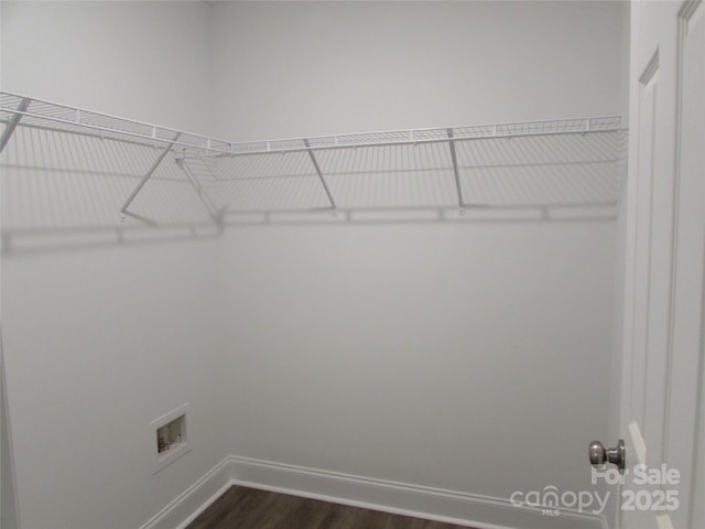 spacious closet featuring dark wood-type flooring