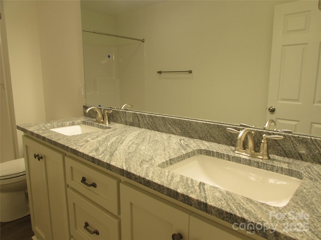 bathroom with vanity and toilet