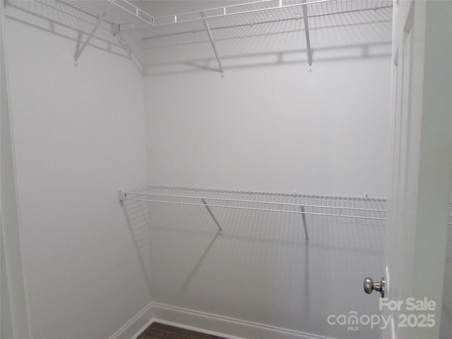 view of walk in closet