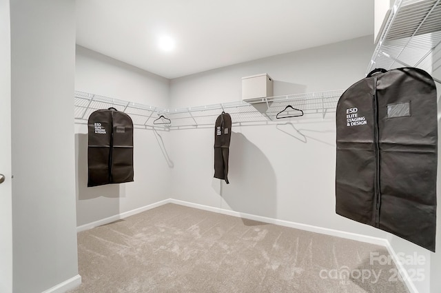 spacious closet with light carpet