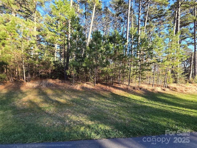 137 Heron Bay Dr, Badin Lake, NC 28127 - photo 6