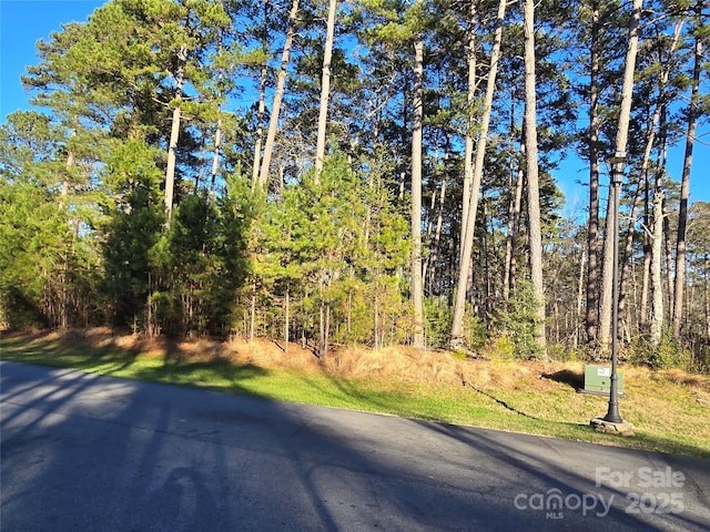 137 Heron Bay Dr, Badin Lake, NC 28127 - photo 9