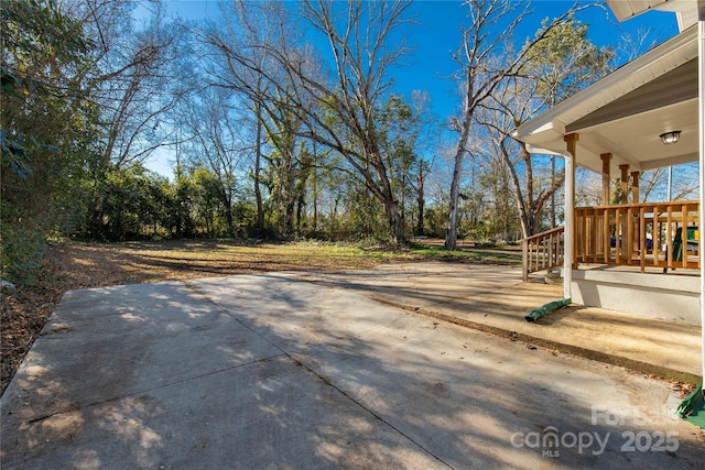 view of yard with a patio area