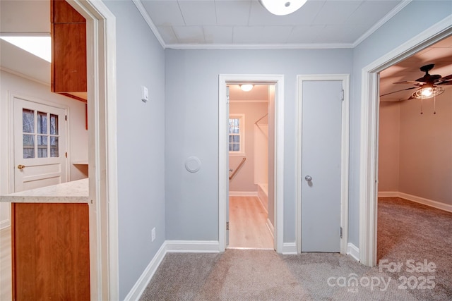 corridor featuring light colored carpet and crown molding