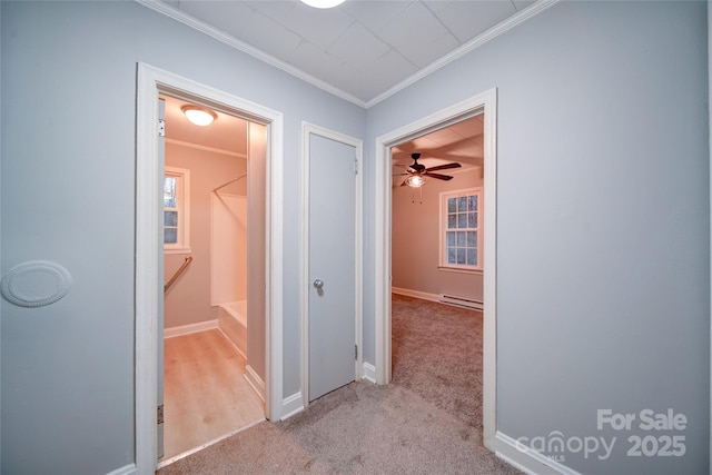 corridor with ornamental molding, light carpet, and a baseboard radiator