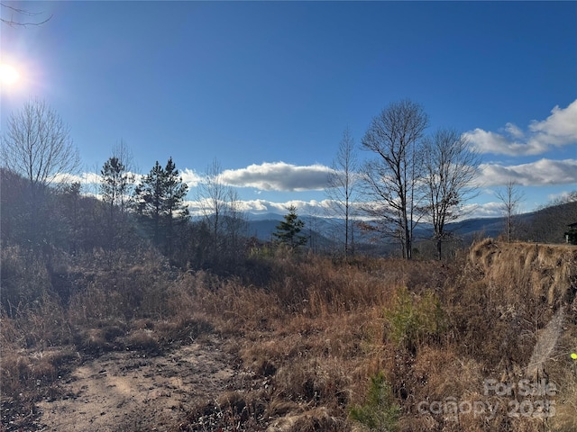 Listing photo 2 for 235 Hawk Shadow Trl, Sylva NC 28779