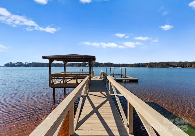 dock area with a water view