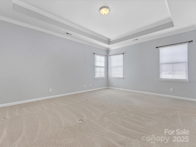 empty room featuring light carpet, a raised ceiling, and ornamental molding