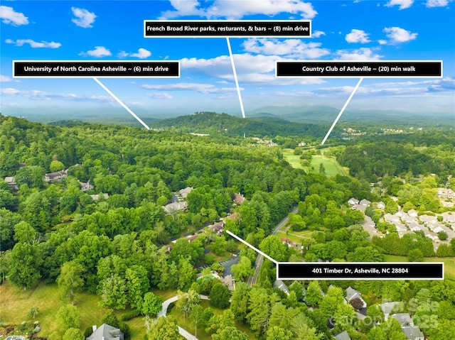 drone / aerial view featuring a mountain view