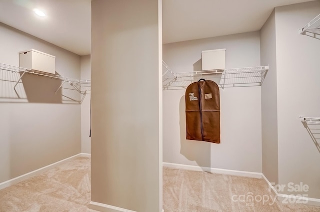 spacious closet with carpet floors