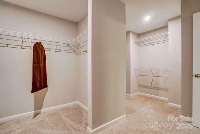 walk in closet featuring carpet floors