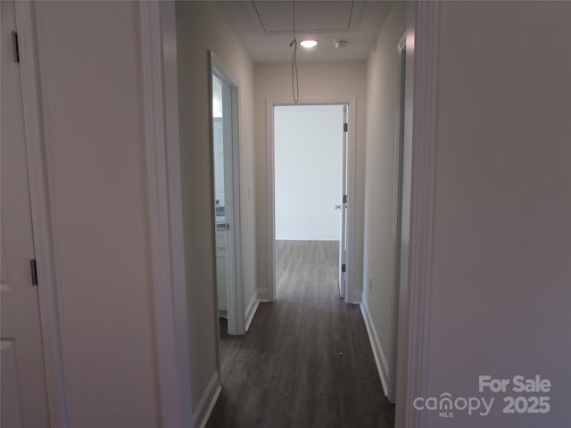 hallway featuring dark hardwood / wood-style floors