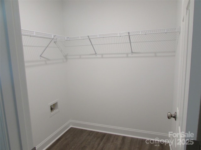 spacious closet featuring dark hardwood / wood-style flooring