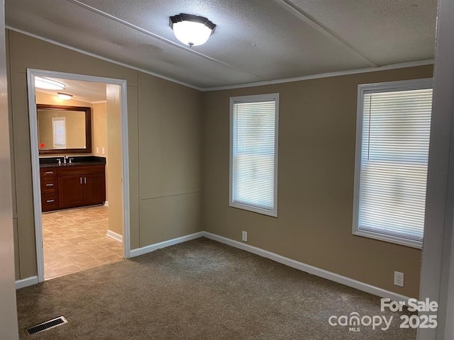 carpeted empty room featuring a textured ceiling, ornamental molding, sink, and vaulted ceiling