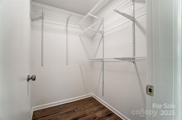 walk in closet with wood-type flooring