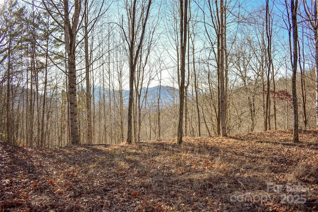 10 Ridge Pl Unit 10, Bryson City NC, 28713 land for sale