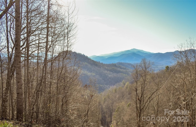 Listing photo 2 for 10 Ridge Pl Unit 10, Bryson City NC 28713