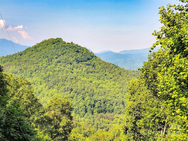 Listing photo 3 for 10 Ridge Pl Unit 10, Bryson City NC 28713