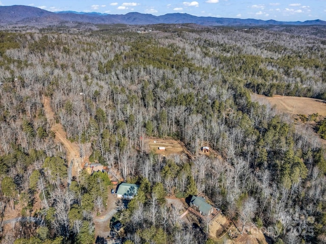 aerial view with a mountain view