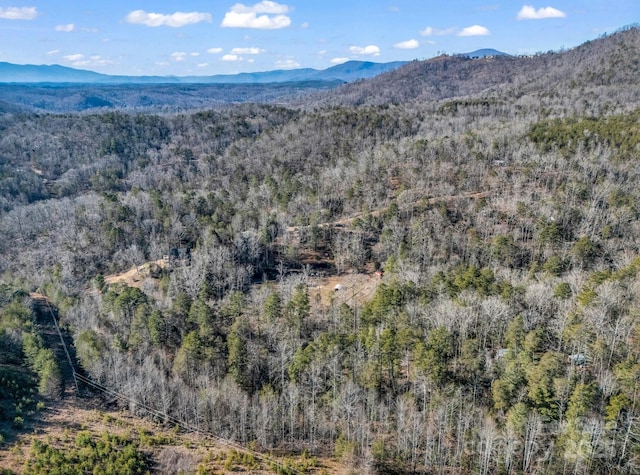 property view of mountains