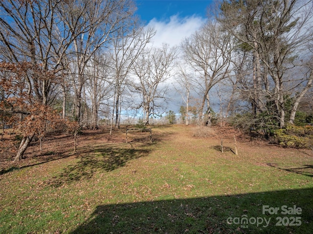 2113 Glenheath Dr, Hendersonville, NC 28791 - photo 34