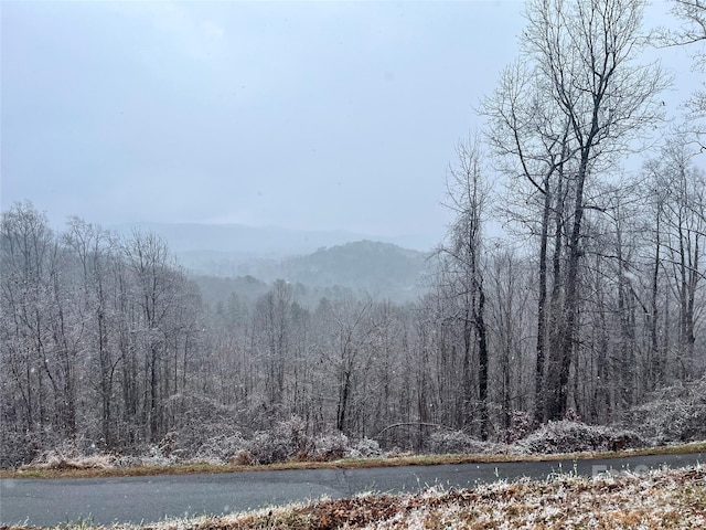 49 Ben Lippen School Rd Unit 2/Ph1A, Asheville, NC 28806 - photo 1