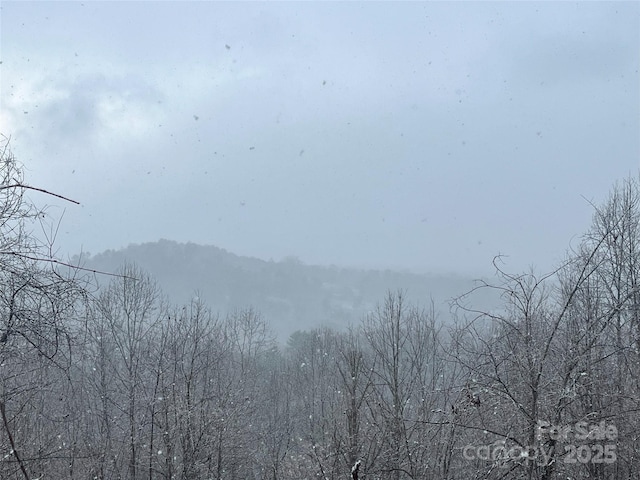 49 Ben Lippen School Rd Unit 2/Ph1A, Asheville, NC 28806 - photo 3