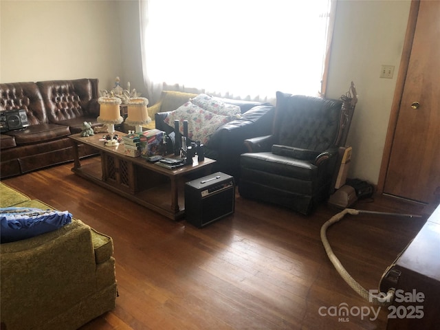 living room featuring dark hardwood / wood-style flooring