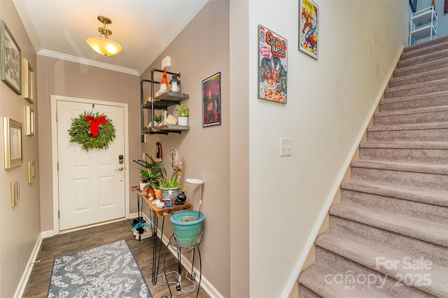 entryway featuring crown molding and dark hardwood / wood-style floors