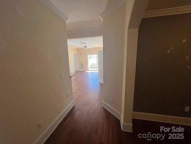 hallway with dark hardwood / wood-style floors and ornamental molding