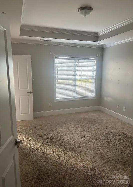 empty room featuring carpet flooring, a raised ceiling, and ornamental molding