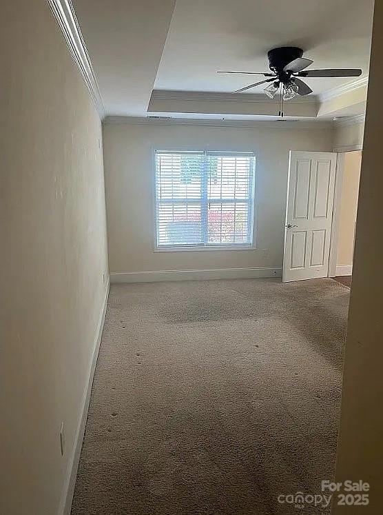 spare room featuring carpet, ceiling fan, ornamental molding, and a tray ceiling