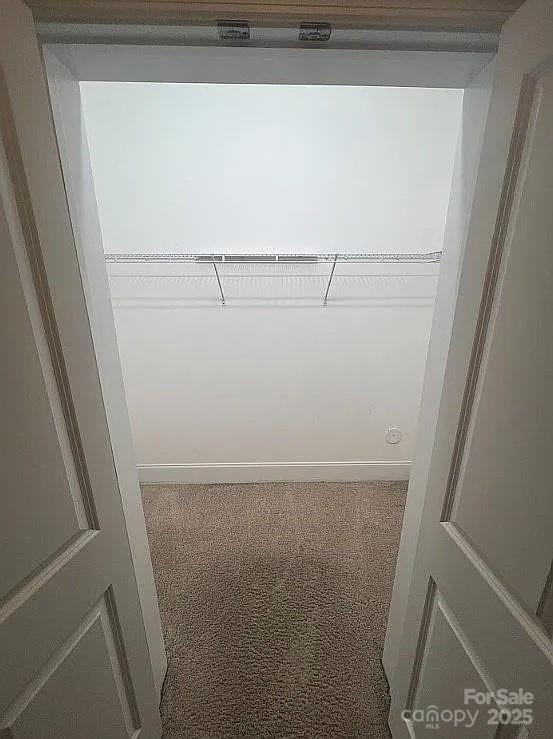 spacious closet with carpet flooring