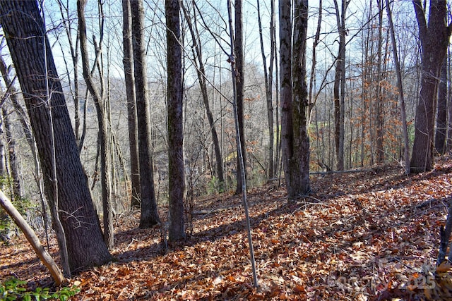 6, 7 Aldersgate Rd Unit 6And 7, Waynesville, NC 28786
