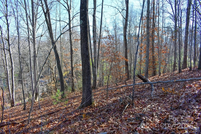 6, 7 Aldersgate Rd Unit 6And 7, Waynesville, NC 28786