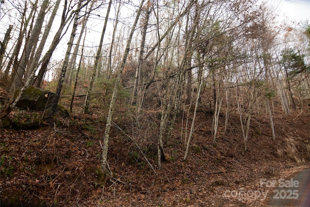 00 Green Ridge Falls Rd, Barnardsville NC, 28709 land for sale