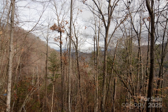 Listing photo 2 for 00 Green Ridge Falls Rd, Barnardsville NC 28709