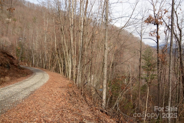 Listing photo 3 for 00 Green Ridge Falls Rd, Barnardsville NC 28709