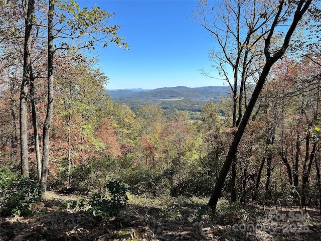 TBD Alpen Rose Way, Mills River NC, 28759 land for sale