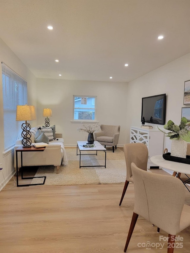 living room with light wood-type flooring