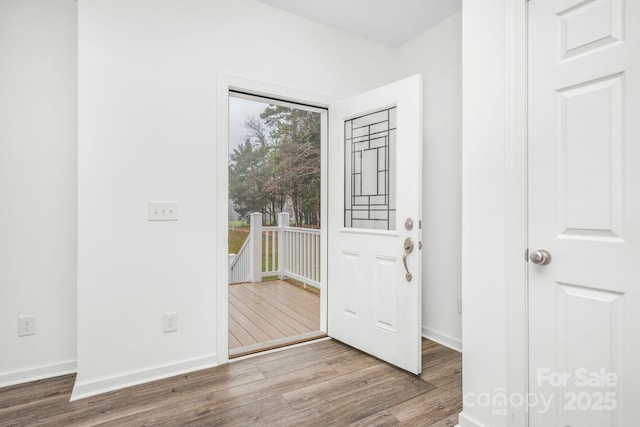 entryway featuring hardwood / wood-style floors