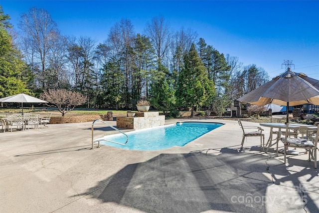 view of pool featuring a patio