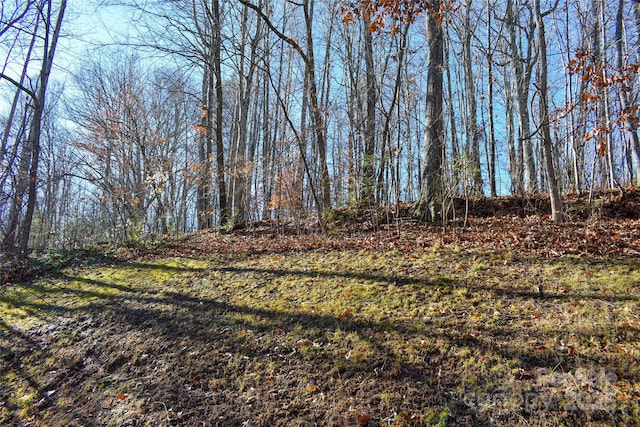 6 Aldersgate Rd Unit 6, Waynesville, NC 28786