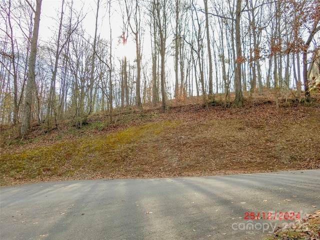 6 Aldersgate Rd Unit 6, Waynesville, NC 28786