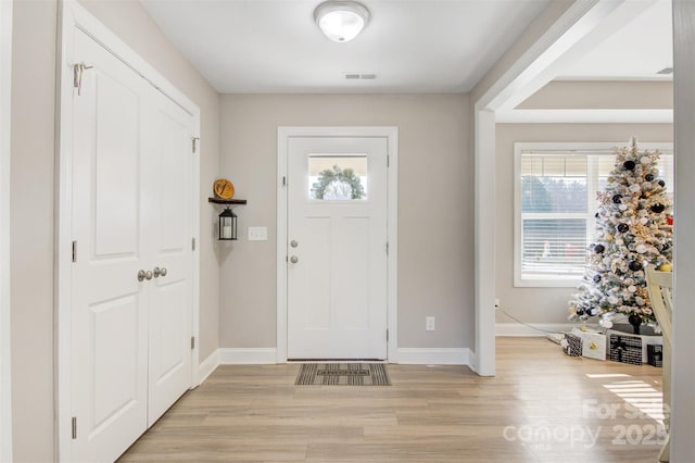 foyer featuring a healthy amount of sunlight and light wood-type flooring