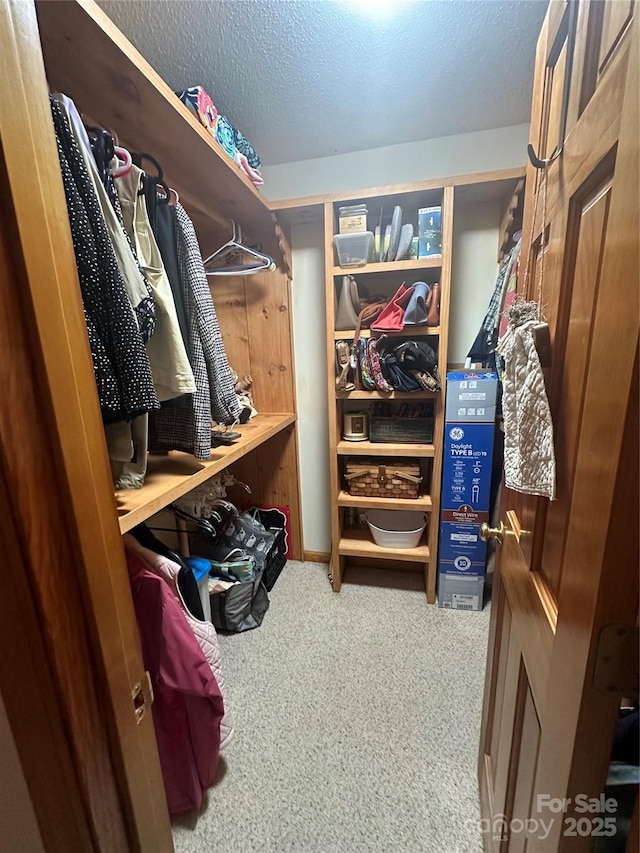 walk in closet with carpet floors