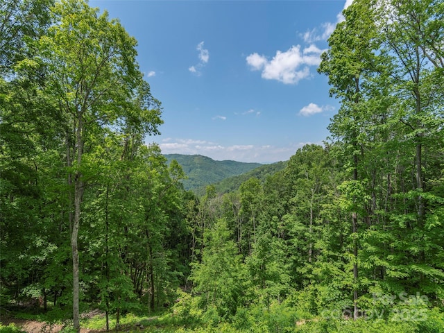 1185 Mule Stomp Rd, Clyde, NC 28721 - view of mountain backdrop featuring a heavily wooded area