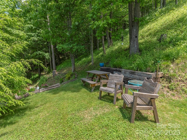1185 Mule Stomp Rd, Clyde, NC 28721 - view of grassy yard