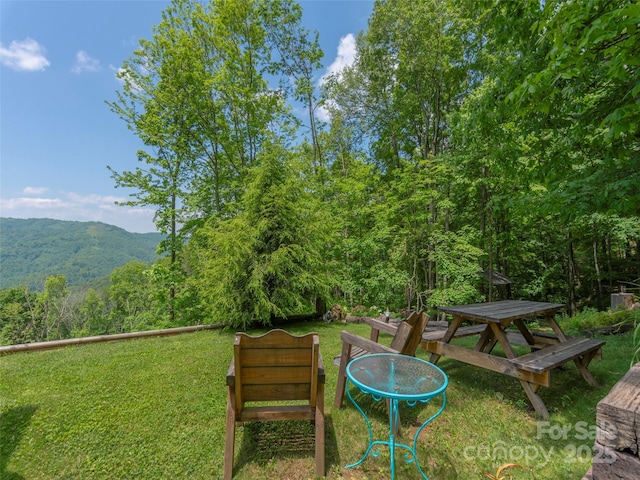 1185 Mule Stomp Rd, Clyde, NC 28721 - view of grassy yard featuring a mountain view and a forest view